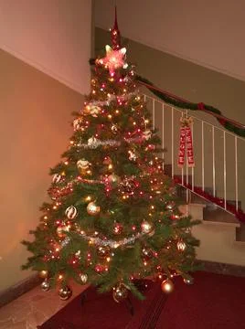 Christmas tree Stock Photos