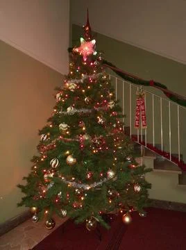 Christmas tree Stock Photos