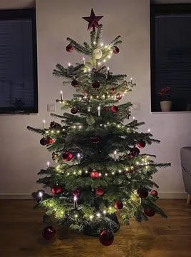 Christmas tree Stockfoto's