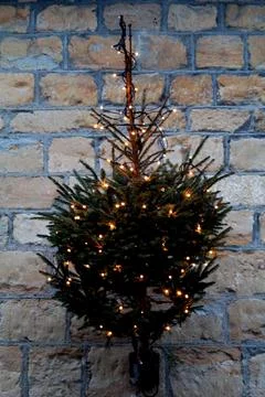 Christmas Tree Stock Photos