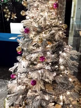Christmas tree Stock Photos