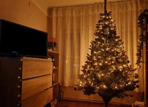 Christmas tree Stock Photos
