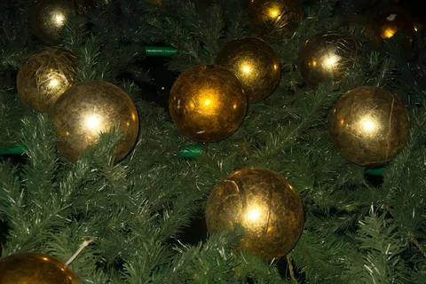 Christmas tree Stock Photos
