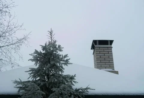 Christmas tree Stock Photos