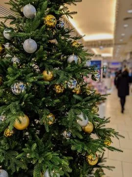 Christmas tree. Stock Photos