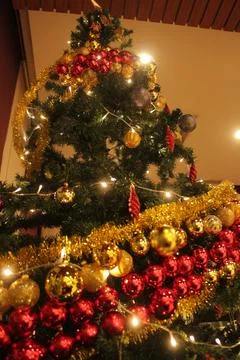 Christmas Tree 写真素材