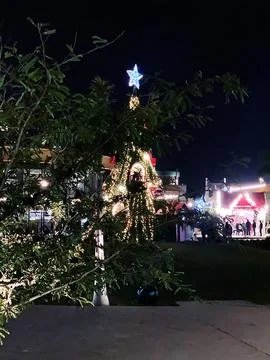 Christmas tree Foto stock