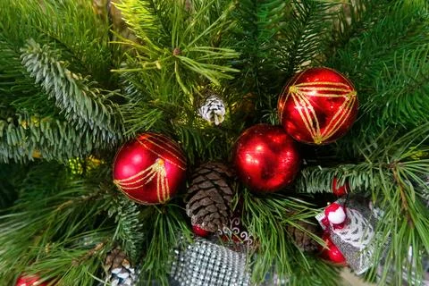 Christmas tree Stock Photos