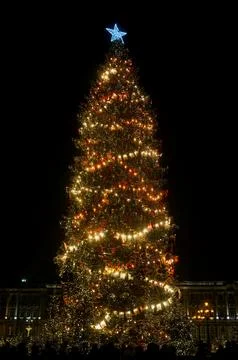 Christmas tree Stock Photos