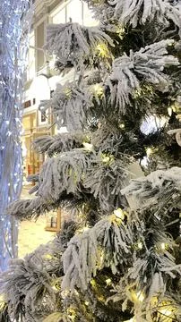 Christmas tree  Stock Photos