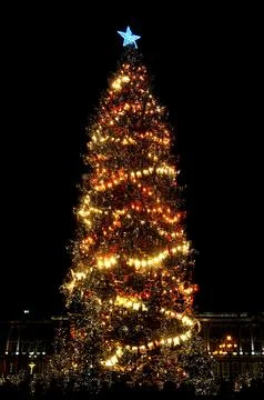 Christmas tree Stock Photos