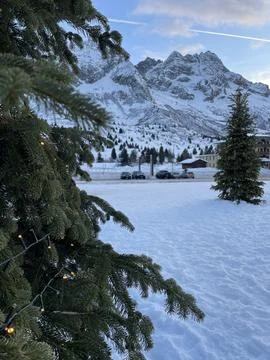 Christmas tree Stock-Fotos