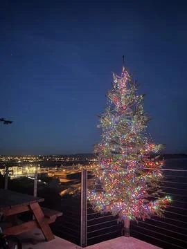 Christmas tree Stock Photos