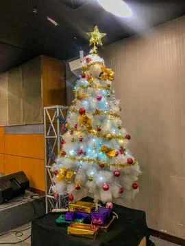 Christmas Tree Stock Photos