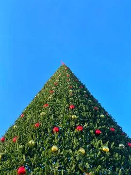 Christmas tree Stock Photos
