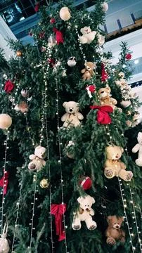 Christmas tree Stock Photos