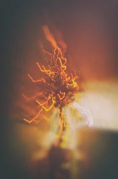 Christmas tree Stock Photos