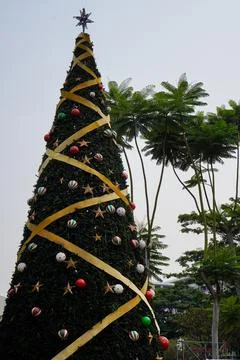 Christmas tree Foto stock