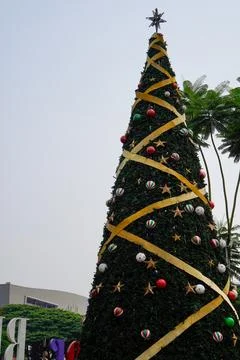 Christmas tree Stock Photos
