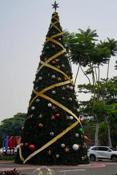 Christmas tree Stock Photos