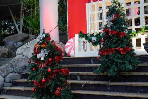 Christmas tree Stock Photos