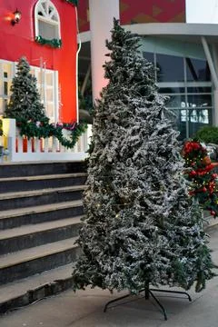 Christmas tree Stock Photos