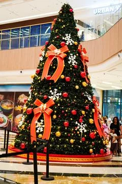 Christmas tree Stock Photos