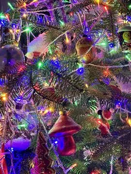 Christmas tree Stock Photos