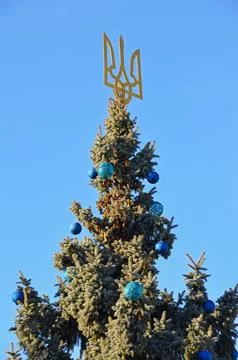 Christmas tree Stock Photos