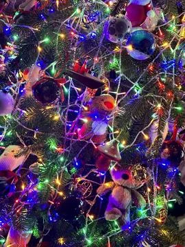 Christmas tree Stock Photos