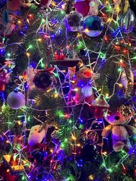 Christmas tree Stock Photos