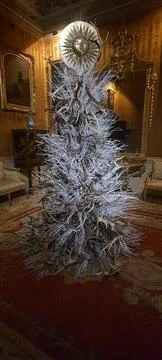 Christmas tree Foto stock
