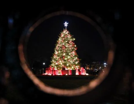 Christmas Tree Stock Photos