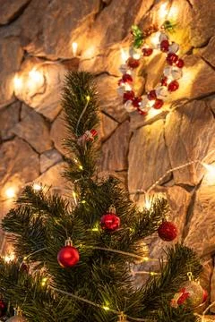 The Christmas tree 스톡 사진