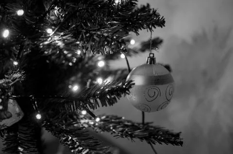 Christmas Tree Foto stock