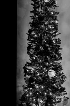 Christmas Tree Foto stock