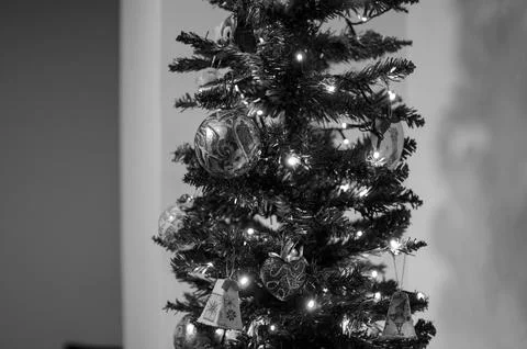 Christmas Tree Foto stock