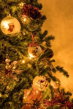 A Christmas tree Stock Photos