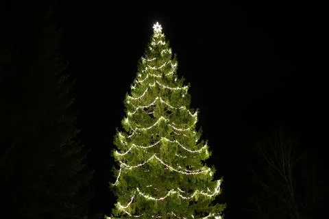 Christmas tree Stock Photos
