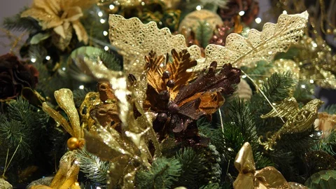 Christmas Tree pine branches. Decor white leafs and brown flowers with sparrow. Stock Footage 129820331