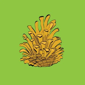 Christmas-tree pine cone Stock Illustration