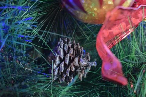 Christmas tree pine cone Stock Photos