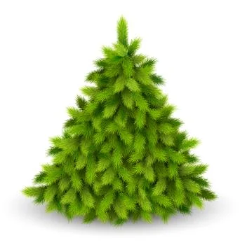 Christmas Tree Pine Isolated on White Illustrazione stock