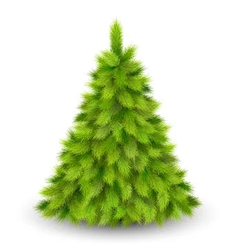 Christmas Tree Pine Isolated on White Stock Illustration