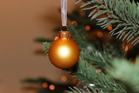 Christmas tree pine place for lettering christmas background New Year's still Stock Photos