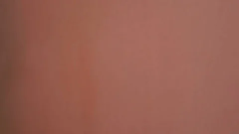 Christmas tree quickly appears in the frame and disappears Stock Footage 84176235