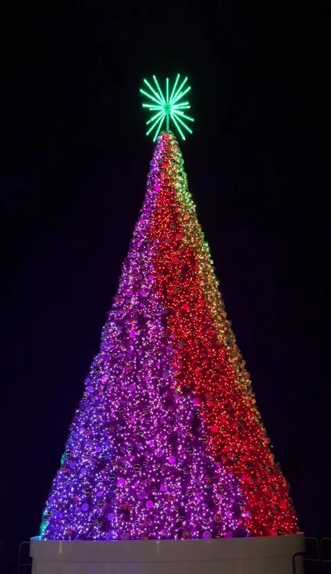 Christmas tree with rainbow pride lights in Cayman Islands Stock Footage 332469997