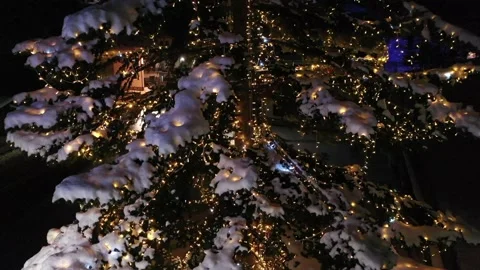 Christmas tree with real snow Stock Footage 224279377