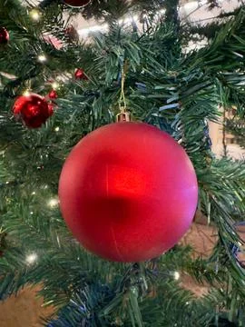 Christmas Tree with Red Bauble Stock Photos