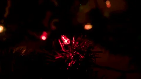 Christmas Tree Red Light in the Dark  Stock Footage 144386923
